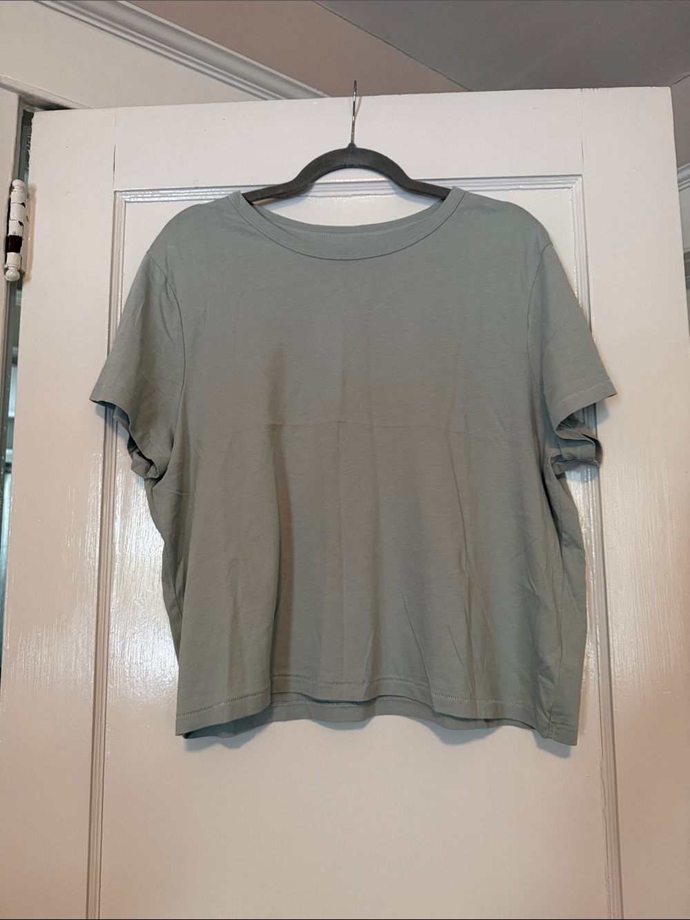 Women's Organic Cotton Crewneck Short Sleeve Tee in Sage